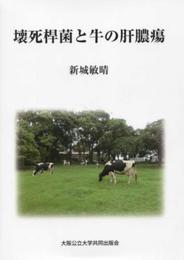 壊死桿菌と牛の肝膿瘍