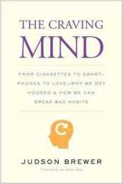The Craving Mind: From Cigarettes to Smartphones to Love ? Why We Get Hooked and How We Can Break Bad Habits