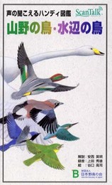 山野の鳥・水辺の鳥: 声の聞こえるハンディ図鑑