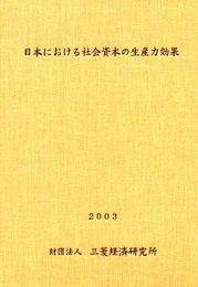 日本における社会資本の生産力効果