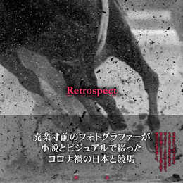 Retrospect 2020-2021 with a novel