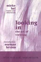 Looking In (Critical Voices in Art Theory and Culture)