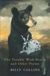 The Trouble with Poetry and Other Poems (Aziza's Secret Fairy Door 255)