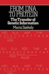 From Deoxyribonucleic Acid to Protein: Transfer of Genetic Information