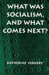 What Was Socialism and What Comes Next? (Princeton Studies in Culture/Power/History)