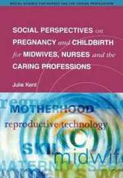 Social Perspectives on Pregnancy and Chilbirth for Midwives Nurses and the Caring Professions (Social Science for Nurses and the Caring Professions)