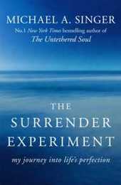 The Surrender Experiment: My Journey into Life's Perfection