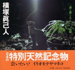 いりおもて: 海と森と人と山猫