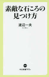 素敵な石ころの見つけ方 (中公新書ラクレ 626)