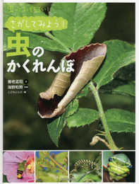 さがしてみよう! 虫のかくれんぼ (虫っておもしろい)
