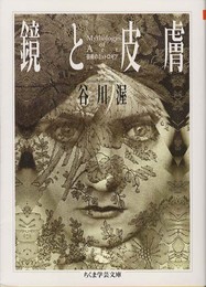 鏡と皮膚: 芸術のミュトロギア (ちくま学芸文庫 タ 17-2)