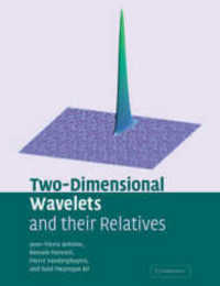 Two-Dimensional Wavelets Relatives