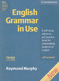 English Grammar in Use 3rd Edition