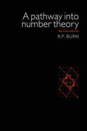 A Pathway into Number Theory 2ed