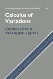Calculus of Variations (Cambridge Studies in Advanced Mathematics Series Number 64)