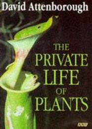 The Private Life of Plants