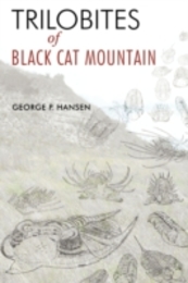 Trilobites of Black Cat Mountain