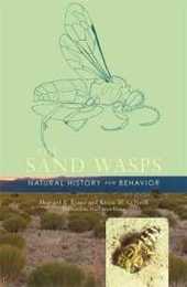 The Sand Wasps: Natural History and Behavior