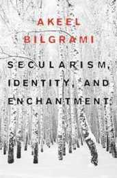 Secularism Identity and Enchantment (Convergences: Inventories of the Present)