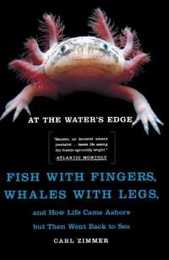 At the Water's Edge: Fish with Fingers Whales with Legs and How Life Came Ashore but Then Went Back to Sea