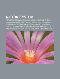 Motor System: Cerebellum Basal Ganglia Motor Neuron Spinal Cord Corticospinal Tract Primary Motor Cortex Supplementary Motor Area