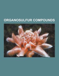Organosulfur Compounds: Organic Disulfides Organosulfates Sulfonamides Sulfones Sulfonic Acids Sulfoxides Sulfur Amino Acids
