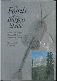 The Fossils of the Burgess Shale