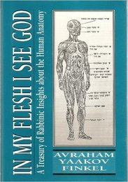 In My Flesh I See God: A Treasury of Rabbinic Insights About the Human Anatomy