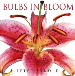 Bulbs in Bloom: Bulbs Corms Tubers Rhizomes and Tuberous Roots