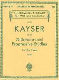 36 Elementary And Progressive Studies