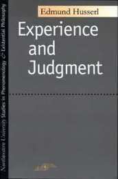 Experience and Judgement (Studies in Phenomenology and Existential Philosophy)