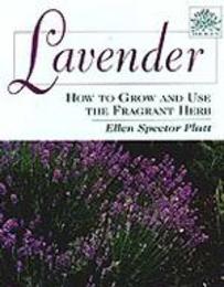 Lavender: How to Grow and Use the Fragrant Herb