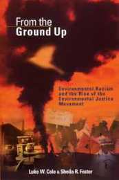 From the Ground Up: Environmental Racism and the Rise of the Environmental Justice Movement (Critical America)
