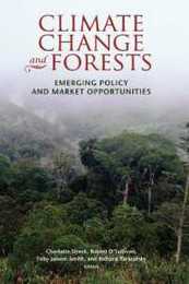 Climate Change and Forests: Emerging Policy and Market Opportunities