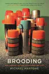 Brooding: Arias Choruses Lullabies Follies Dirges and a Duet (Crux: the Georgia Series in Literary Nonfiction)