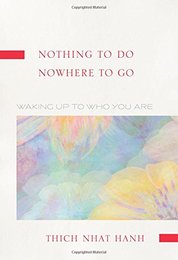 Nothing to Do Nowhere to Go: Waking Up to Who You Are