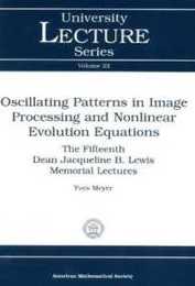 Oscillating Patterns in Image Processing and Nonlinear Evolution Equations: The Fifteenth Dean Jacqueline B. Lewis Memorial Lectures (University Lecture Series)