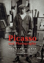 Picasso And Photography