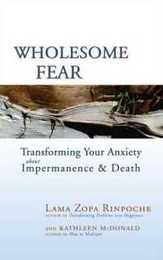 WHOLESOME FEAR -TR