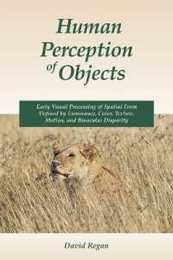 Human Perception of Objects: Early Visual Processing of Spatial Form Defined by Luminance Color Texture Motion and Binocular Disparity