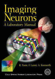 Imaging Neurons: A Laboratory Manual
