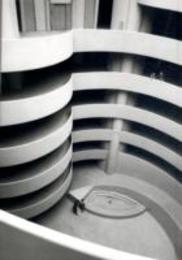 The Guggenheim: Frank Lloyd Wright and the Making of the Modern Museum