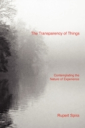 The Transparency of Things: Contemplating the Nature of Experience