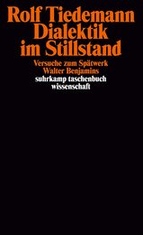 Dialektik im Stillstand. Versuche zum Spaetwerk Walter Benjamins.