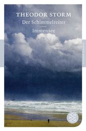 Der Schimmelreiter / Immensee: Erzaehlungen