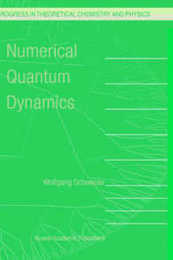 Numerical Quantum Dynamics (Progress in Theoretical Chemistry and Physics 9)