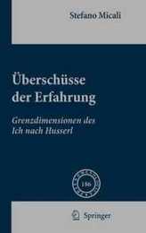 Ueberschuesse der Erfahrung: Grenzdimensionen des Ich nach Husserl (Phaenomenologica 186)
