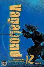 Vagabond (VIZBIG Edition) Vol. 12 (12)