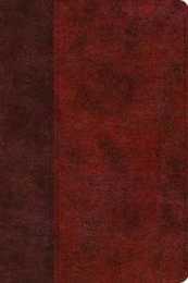 ESV Gospel Transformation Study Bible: English Standard Version Burgundy/Red Trutone Timeless Design: Christ in All of Scripture Grace for All of Life