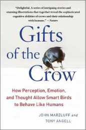 Gifts of the Crow: How Perception Emotion and Thought Allow Smart Birds to Behave Like Humans